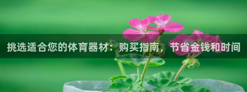 极悦平台是干什么的啊：挑选适合您的体育器材：购买指南