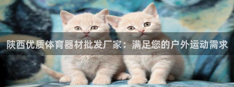极悦官网首页登录入口：陕西优质体育器材批发厂家：满足
