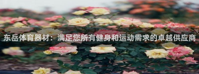 极悦平台注册太7.0.2.4.4更新内容：东岳体育器
