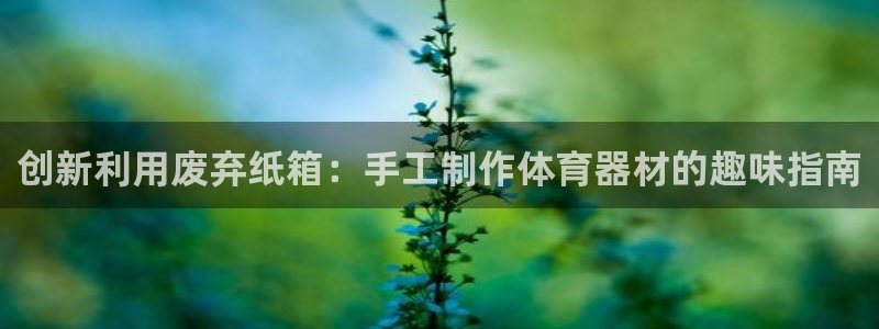 加盟极悦教育多少钱：创新利用废弃纸箱：手工制作体育器