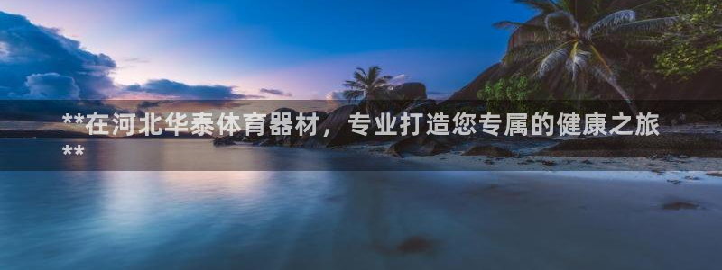 极悦平台与网易合作详情在哪：**在河北华泰体育器材，