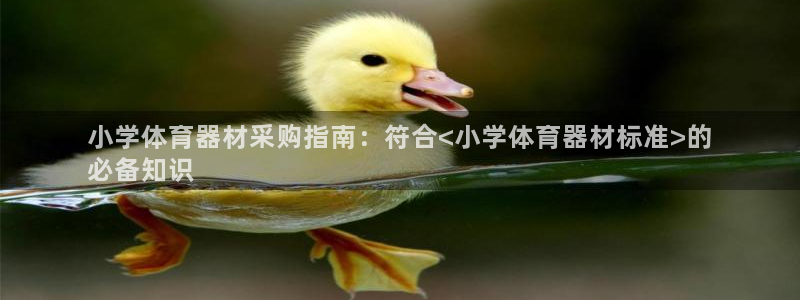 极悦平台客服投诉电话是多少号码：小学体育器材采购指南