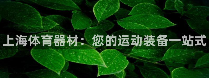 加盟极悦教育怎么样：上海体育器材：您的运动装备一站式