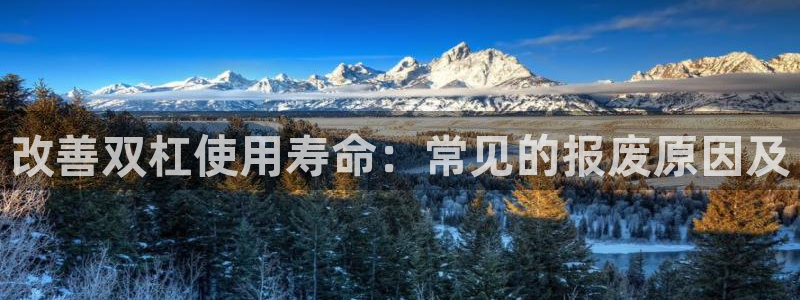 极悦娱乐的最新版本更新内容是什么：改善双杠使用寿命：