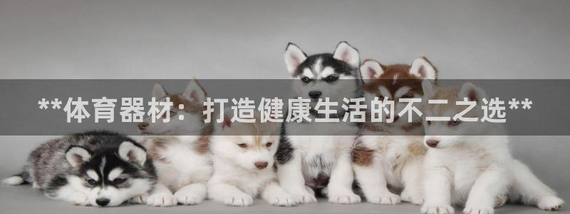 极悦平台官网登录入口网址是多少：**体育器材：打造健