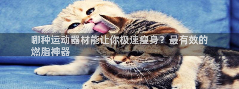 极悦平台官网登录入口网址是多少：哪种运动器材能让你极
