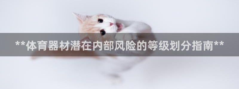极悦娱乐官方网站入口：**体育器材潜在内部风险的等级