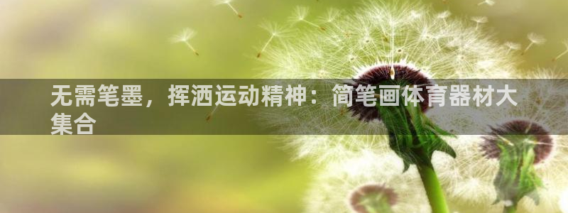 极悦平台和蓝狮平台区别：无需笔墨，挥洒运动精神：简笔