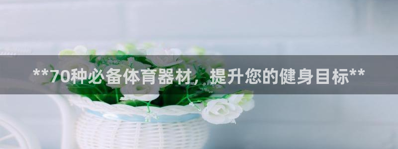 极悦平台官网登录不了：**70种必备体育器材，提升您