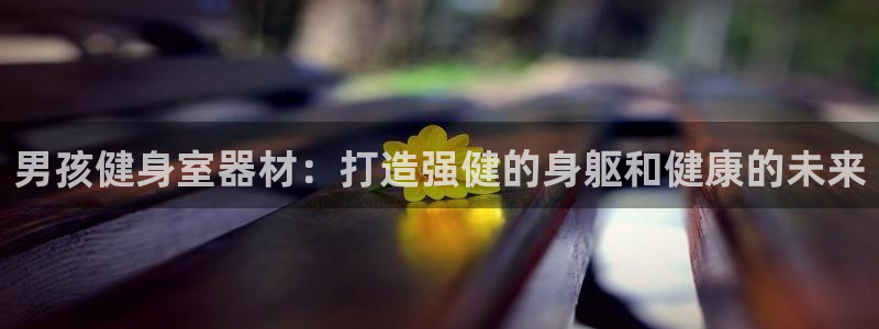 极悦娱乐负责人：男孩健身室器材：打造强健的身躯和健康