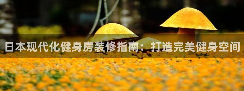 极悦平台客服投诉电话是多少号码：日本现代化健身房装修