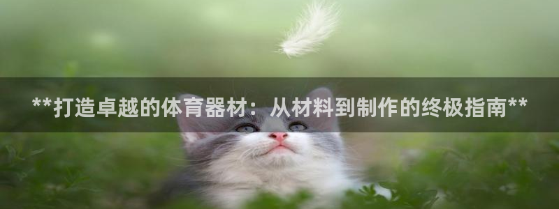 极悦娱乐app官方版本更新内容：**打造卓越的体育器