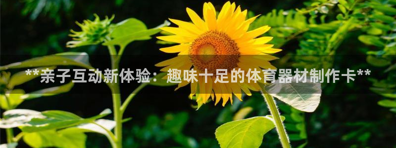 极悦平台注册资金多少钱：**亲子互动新体验：趣味十足