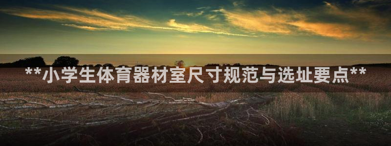 极悦娱乐游戏中心：**小学生体育器材室尺寸规范与选址