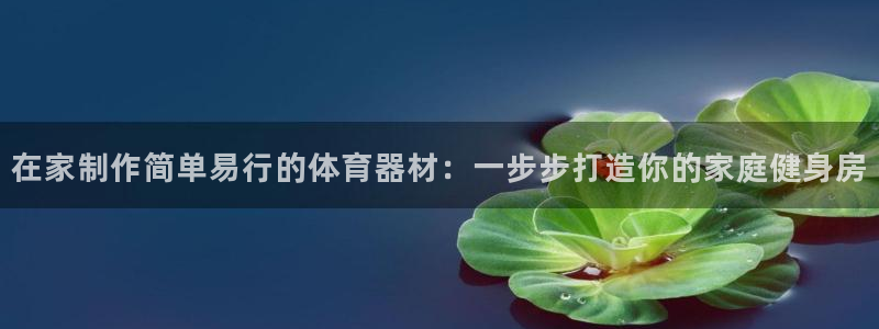 极悦平台是正规平台吗安全吗：在家制作简单易行的体育器