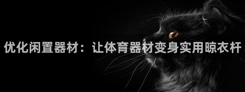 极悦平台德711.112的更新内容：优化闲置器材：让