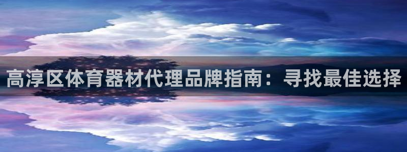 极悦平台官方网站是什么：高淳区体育器材代理品牌指南：