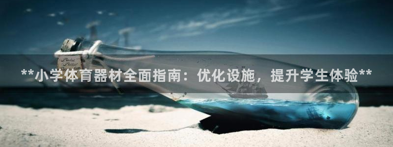 极悦平台官方网站入口：**小学体育器材全面指南：优化