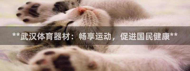 极悦娱乐公司最新招聘信息官网：**武汉体育器材：畅享
