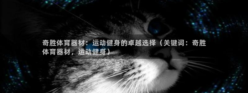 极悦平台注册：奇胜体育器材：运动健身的卓越选择（关键