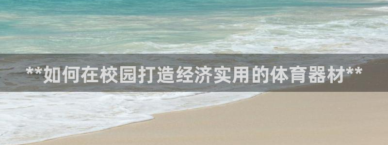 极悦娱乐游戏中心：**如何在校园打造经济实用的体育器