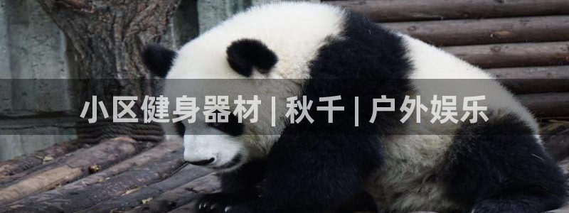 极悦平台股东：小区健身器材 | 秋千 | 户外娱乐
