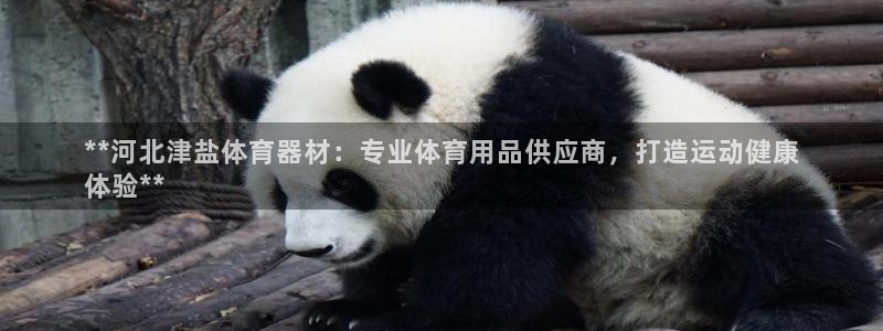 极悦娱乐官网最新版本更新内容下载：**河北津盐体育器
