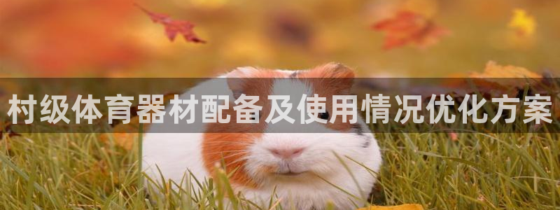 极悦官网首页：村级体育器材配备及使用情况优化方案