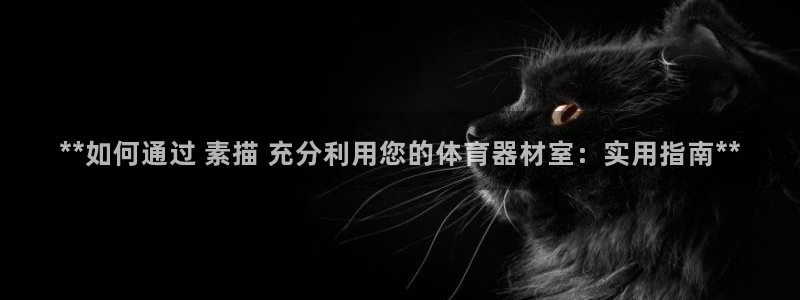 极悦平台官方网站入口链接：**如何通过 素描 充分利