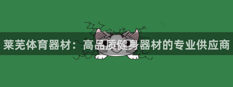 极悦平台注册用户名生成器下载：莱芜体育器材：高品质健