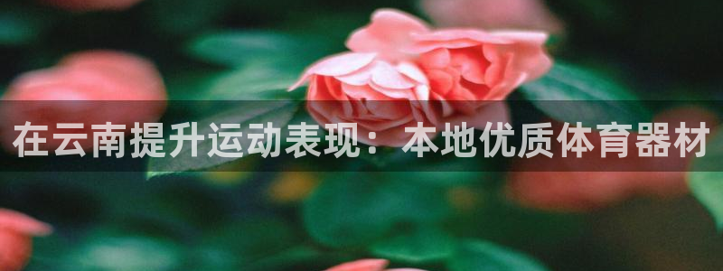 极悦娱乐代理人是谁呀：在云南提升运动表现：本地优质体