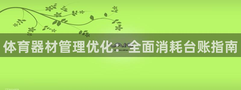 极悦益生菌猫粮怎么样：体育器材管理优化：全面消耗台账