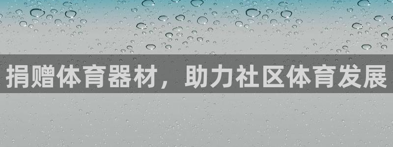 极悦平台官方网站首页入口：捐赠体育器材，助力社区体育