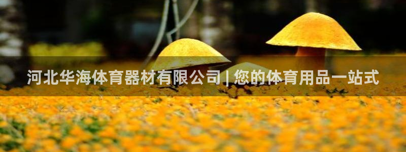 极悦平台注册官网：河北华海体育器材有限公司 | 您的