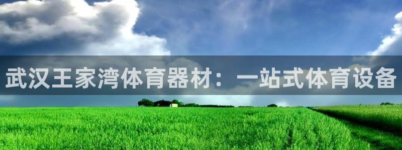 极悦娱乐官网app下载安装：武汉王家湾体育器材：一站