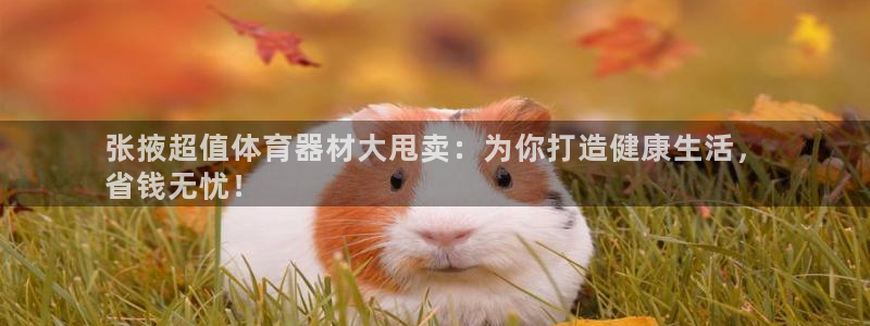 极悦牙膏怎么样好用吗：张掖超值体育器材大甩卖：为你打