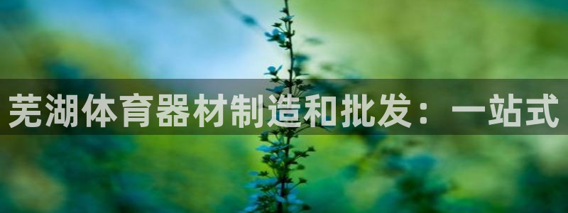 极悦平台注册登录不了：芜湖体育器材制造和批发：一站式