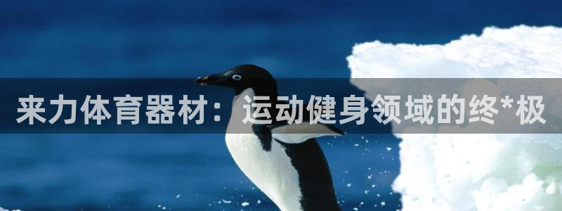 极悦平台代理怎么赚钱的：来力体育器材：运动健身领域的