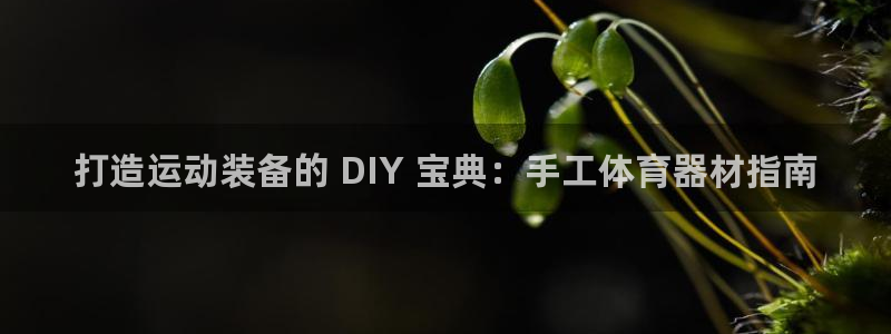 极悦平台注册登录失败：打造运动装备的 DIY 宝典：