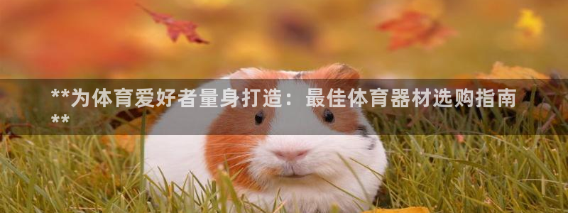 极悦平台注册流程视频：**为体育爱好者量身打造：最佳