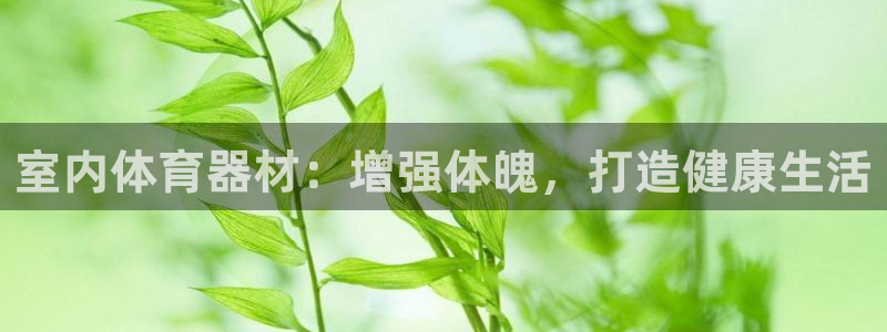 极悦平台方7O777：室内体育器材：增强体魄，打造健