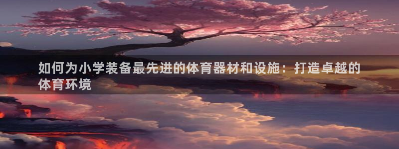 极悦平台代理怎么样可靠吗：如何为小学装备最先进的体育