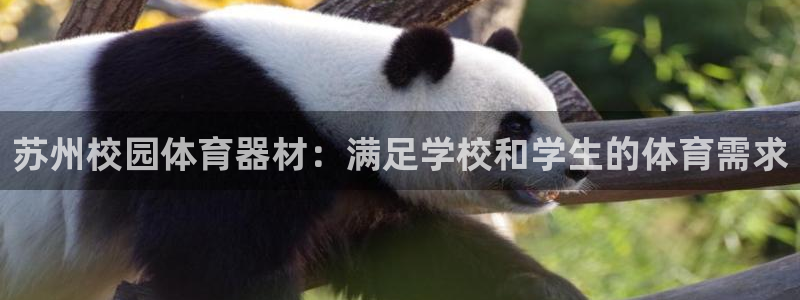 极悦官网首页登录入口网站：苏州校园体育器材：满足学校