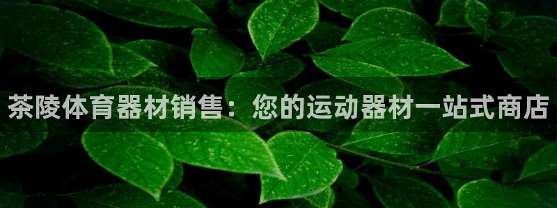极悦平台是正规平台吗安全吗是真的吗：茶陵体育器材销售