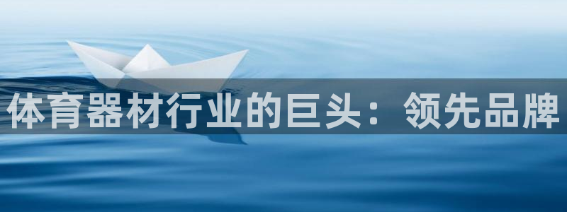 极悦娱乐app官方版本更新内容：体育器材行业的巨头：