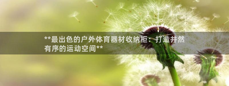 极悦平台代理电话：**最出色的户外体育器材收纳柜：打