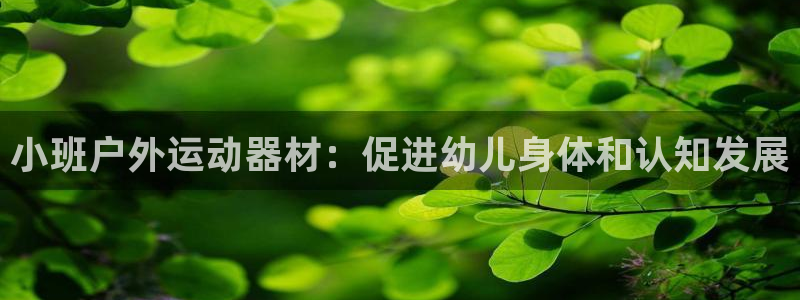极悦平台官方网站首页下载：小班户外运动器材：促进幼儿