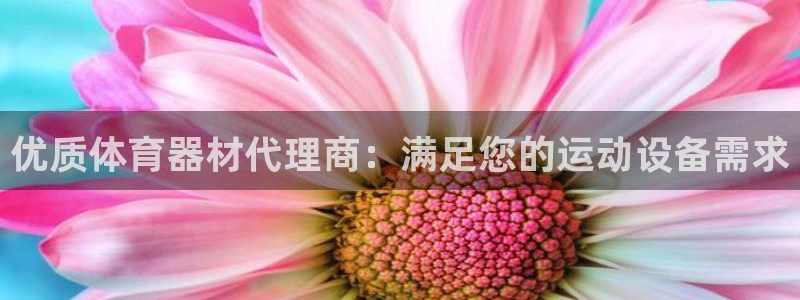 极悦平台客服团队：优质体育器材代理商：满足您的运动设