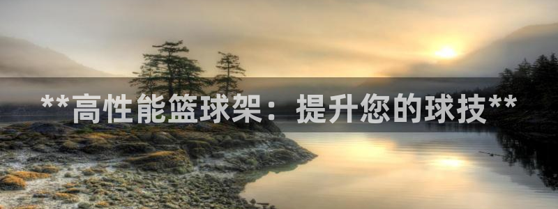 极悦娱乐公司最新招聘信息网：**高性能篮球架：提升您