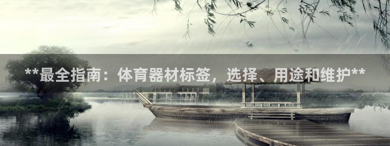 极悦平台有风险吗：**最全指南：体育器材标签，选择、